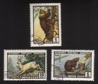 Animals: Brown Bear, Beaver, Roe Deer - Complete Set of 3 Different