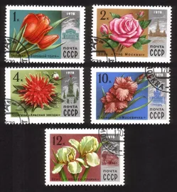 Moscow Flowers & Architecture: Rose, Gladiolus, Iris, Dahlia, Etc Cplt Set of 5