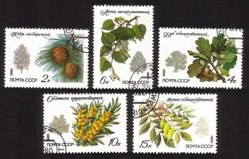 Plants & Trees: Siberian Pine, Oak, Lime Tree, Sea Bucthorn, Etc. Cplt Set of 5
