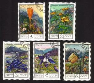 Flowers of The Caucasus: Pasqueflowers, Saffron, Gentian, Etc. Cplt Set of 5