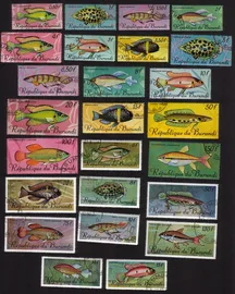 Tropical Fish: Congo Tetras, Jewel Cichlids, Snakehead, Etc. Compete Set of 25