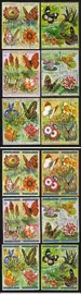 Flowers & Butterflies: Protea Cynaroides, Precis Octavia, Etc. Cplt Set of 48.