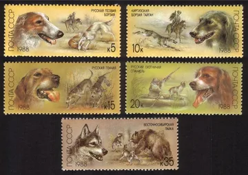 Hunting Dogs: Russian Borzoi, Fox Hunt, Kirghiz Greyhound, Etc. Cplt Set of 5.