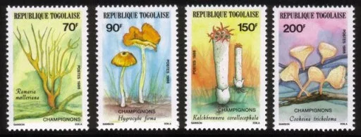 Mushrooms - Complete Set of 4 Different